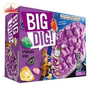 High Quality Archaeological Excavation Kit Kids DIY Natural Fossils Digging Set SL17A090