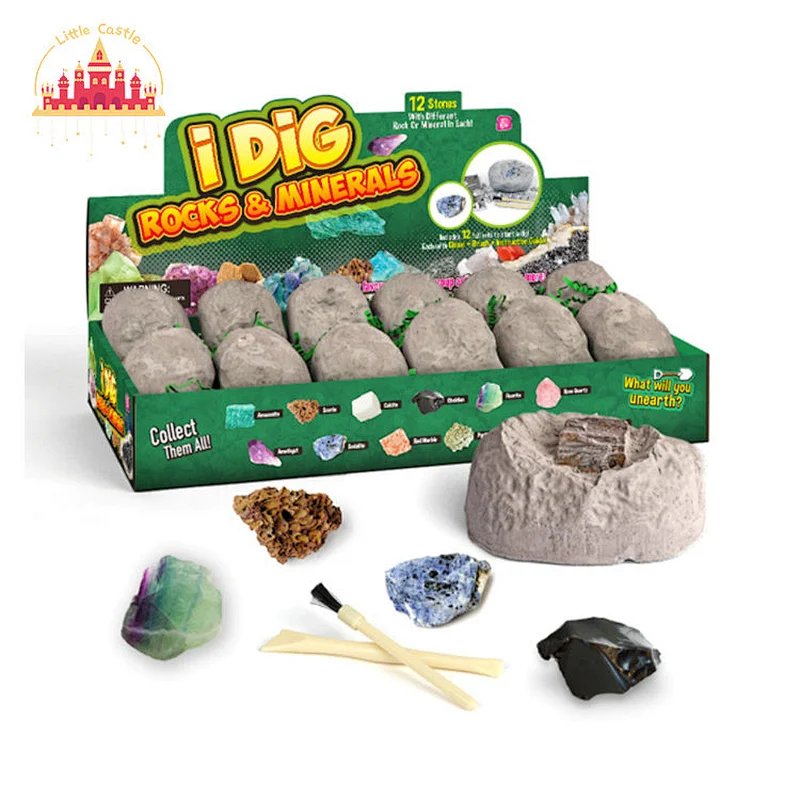 Wholesale DIY 12Pcs Dig and Discovery Insect Excavation Kit For Kids SL17A076