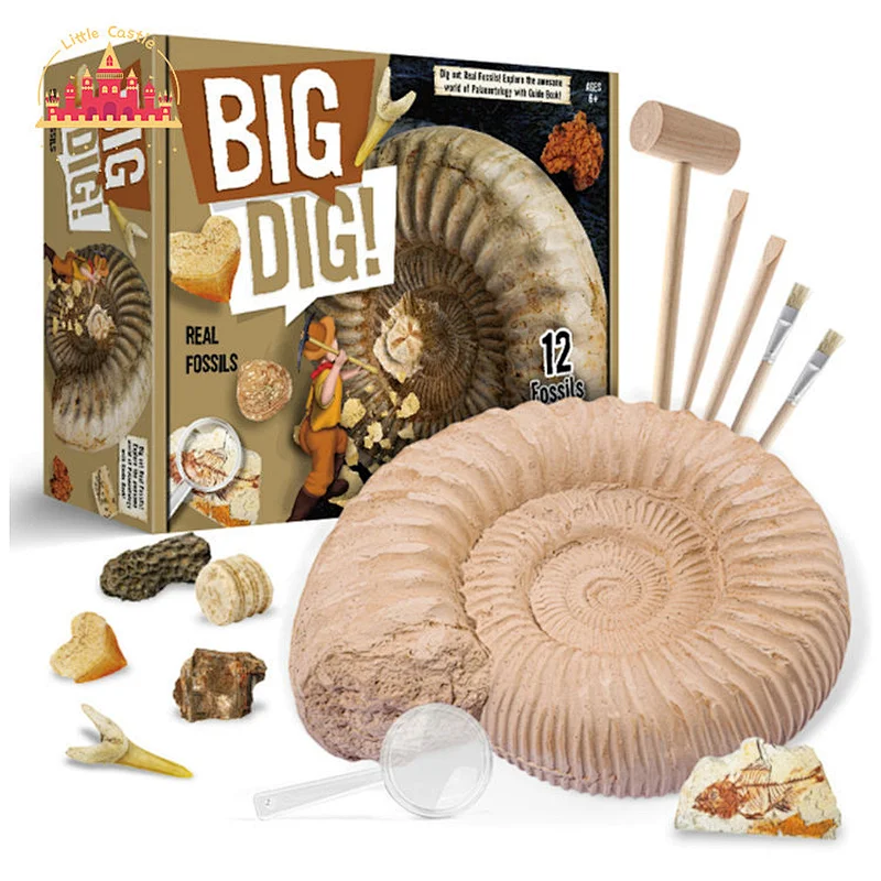High Quality Archaeological Excavation Kit Kids DIY Natural Fossils Digging Set SL17A090