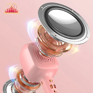 Hot Selling Karaoke Wireless Bluetooth Handheld Microphones With Speaker SL07C004