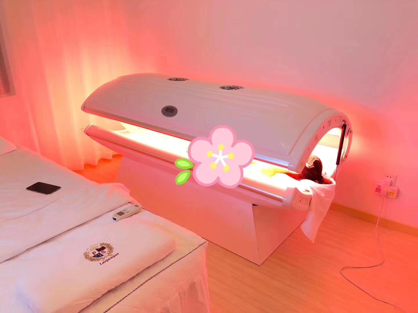 LED light therapy bed
