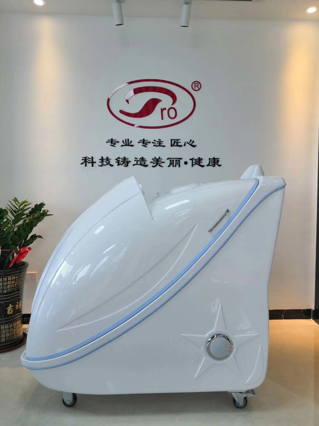 Sitting SPA steam bath beauty machine