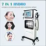 Alice hydra facial machine