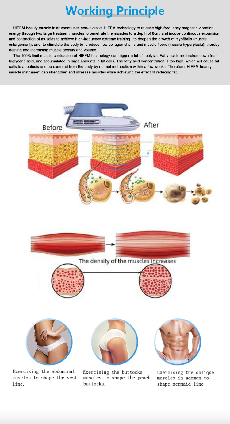 Portable HIEMT EMSculpting Muscle Stimulating Body Shaping Machine for Beauty Salone and Home Use