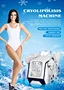 New arrival weight loss fat