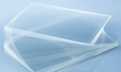 prepared microscope slides