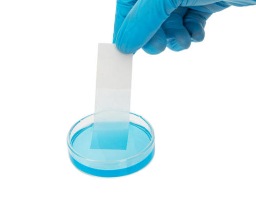 blotting paper