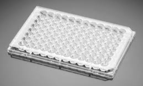 96 well bacterial culture plate
