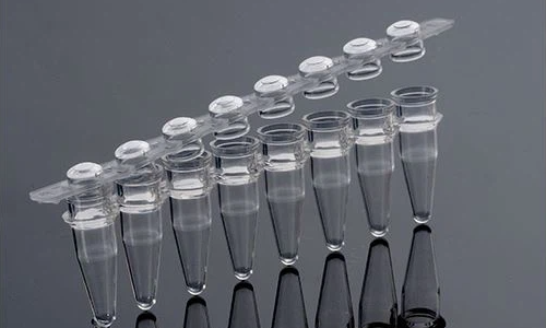 8 well pcr tube strips