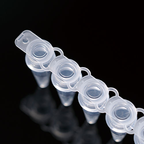 8 ストリップ PCR チューブ