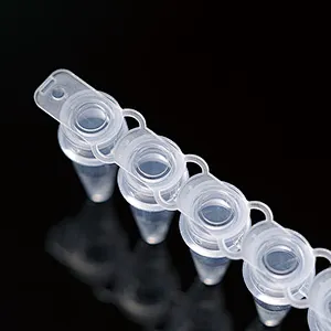 Strisce da 8 provette per PCR