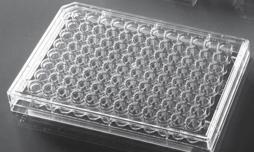 cell culture dish