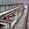 continuous pickling line