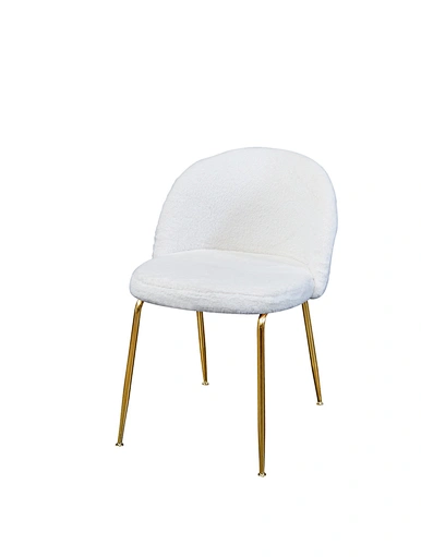 dining room dining chair
