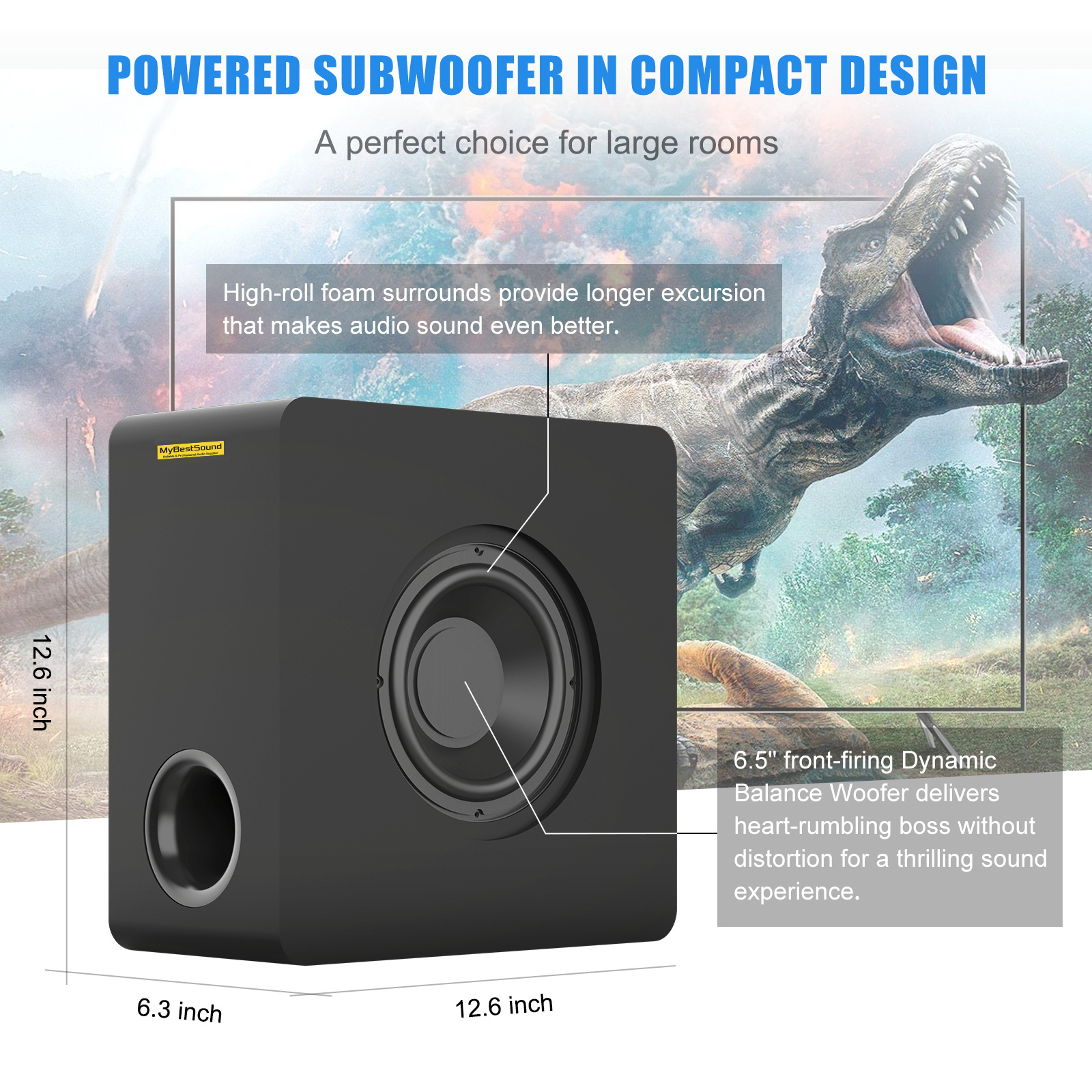 60W Subwoofer forTV SW65D Manufacturer