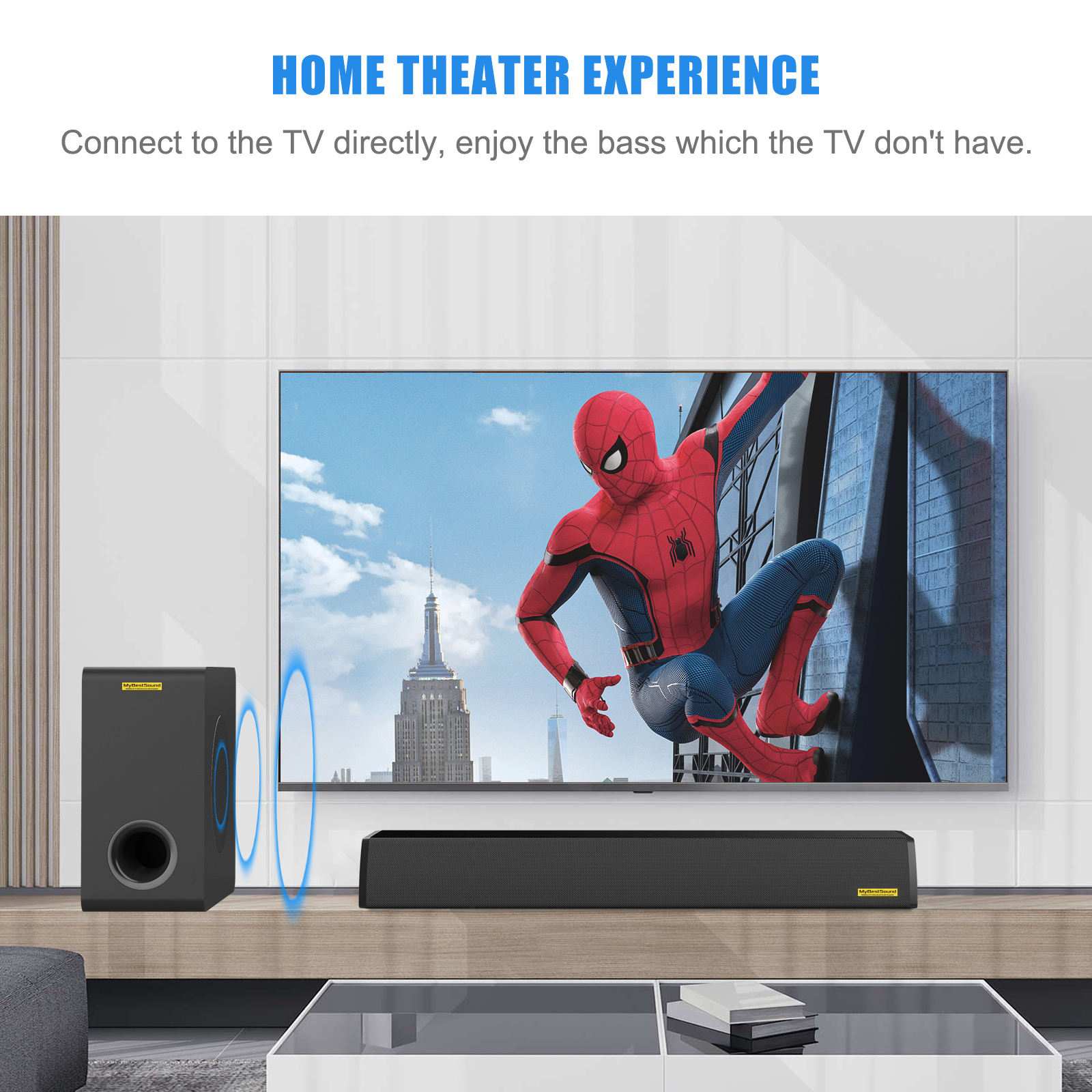 60W Subwoofer forTV SW65D Manufacturer