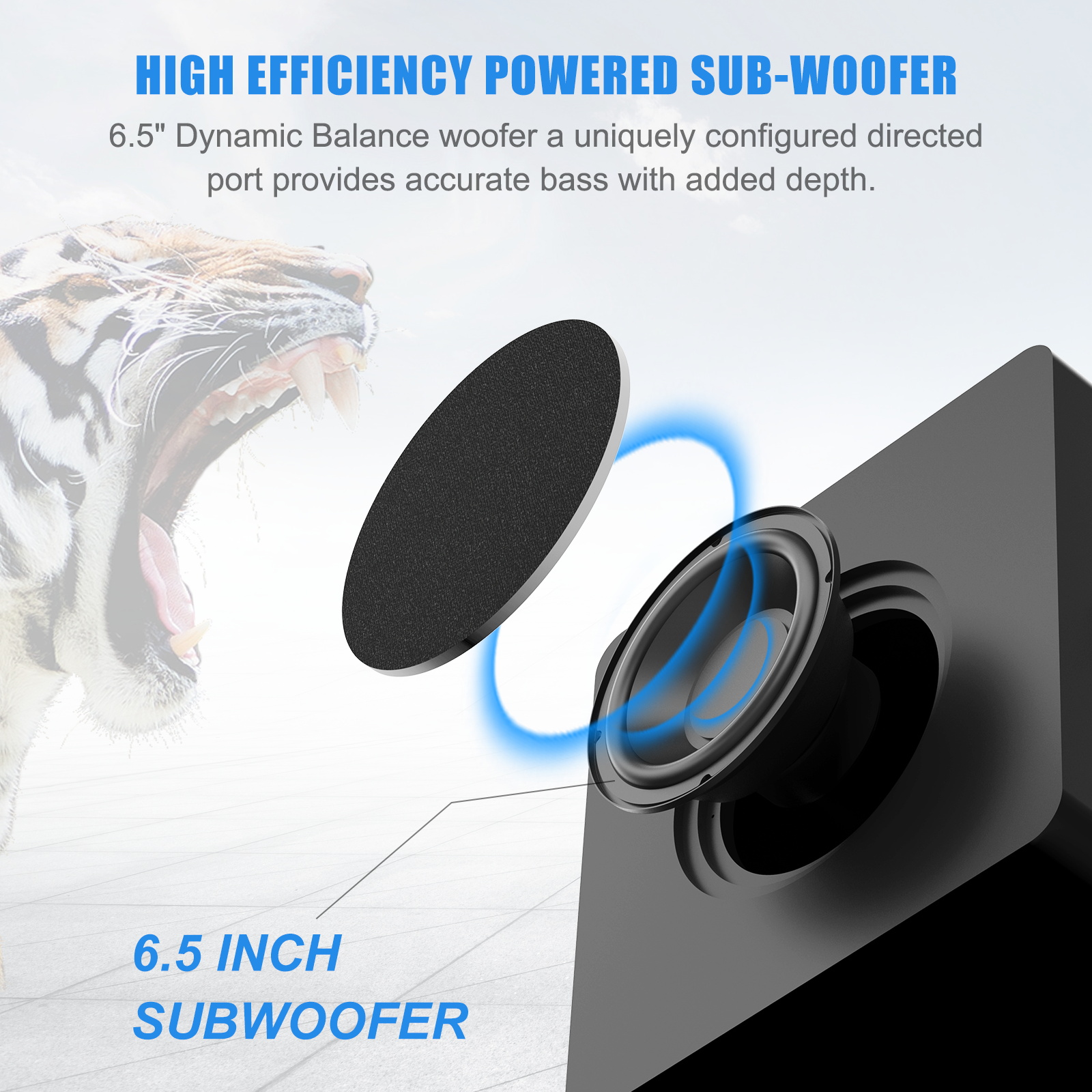 60W Subwoofer forTV SW65D Manufacturer