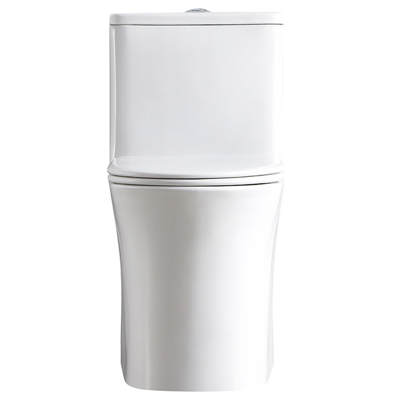 Ceramic Toilet