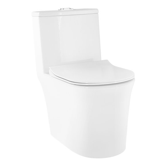 Ceramic Toilet