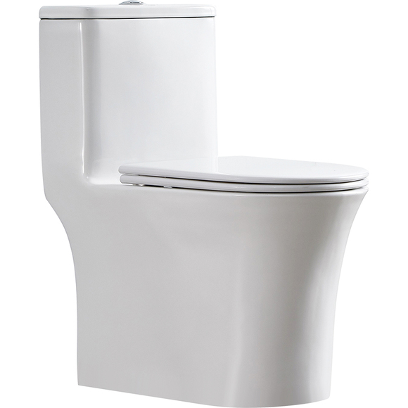 Ceramic Toilet