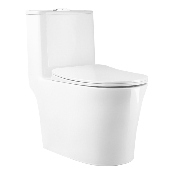 Ceramic Toilet