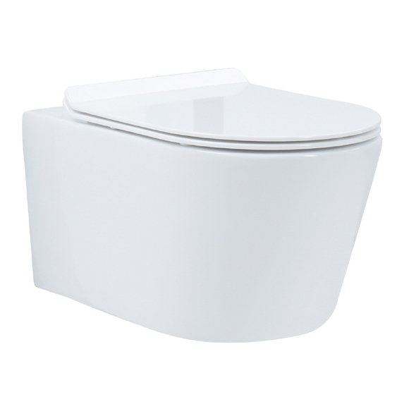 Ceramic Toilet