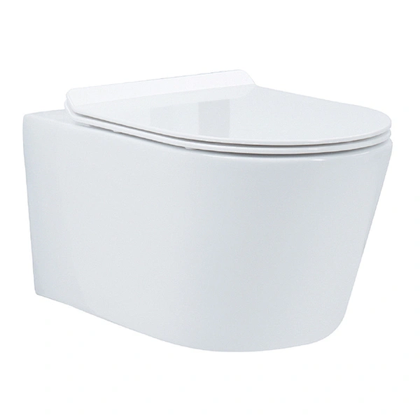 Ceramic Toilet