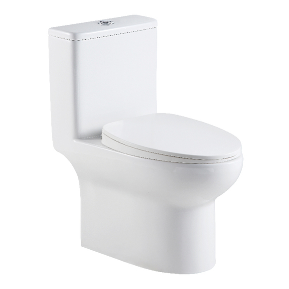 Ceramic Toilet