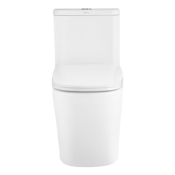Ceramic Toilet