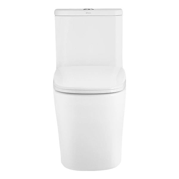 Ceramic Toilet