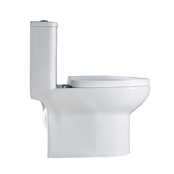 Ceramic Toilet