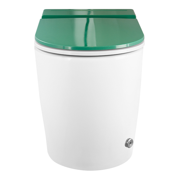 Ceramic Toilet