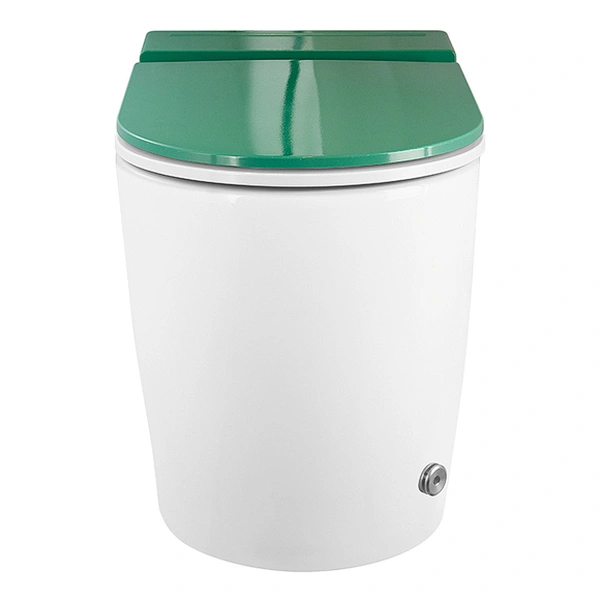Ceramic Toilet