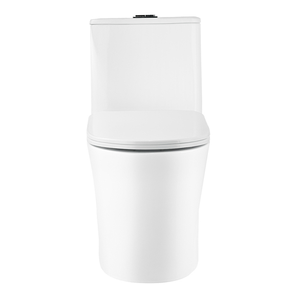 Ceramic Toilet