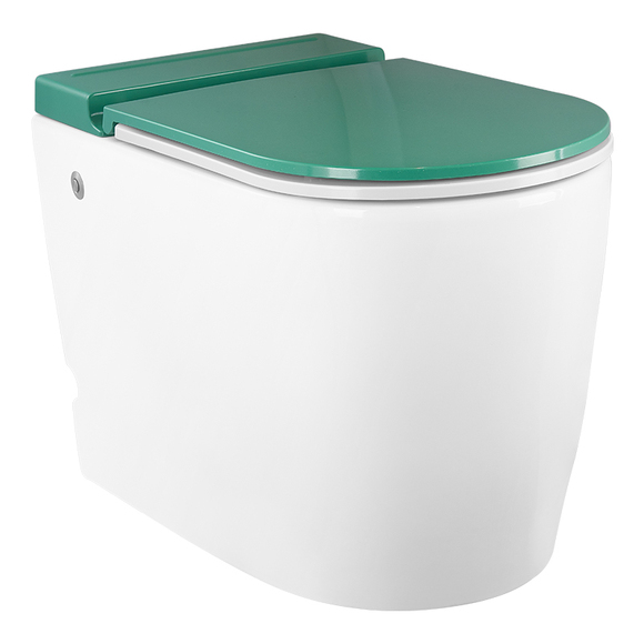 Ceramic Toilet