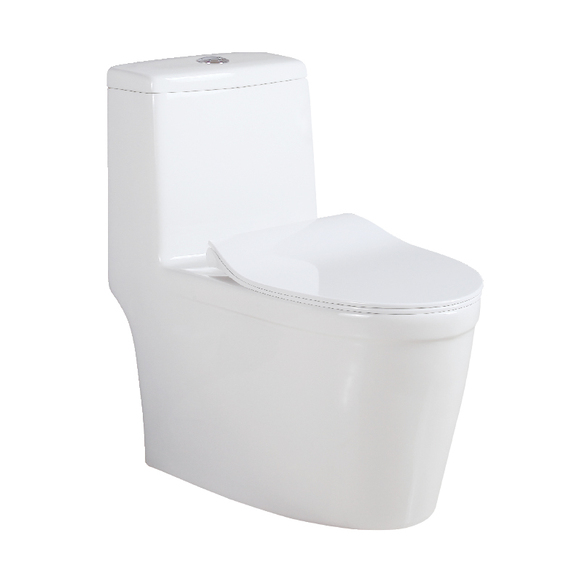 Ceramic Toilet