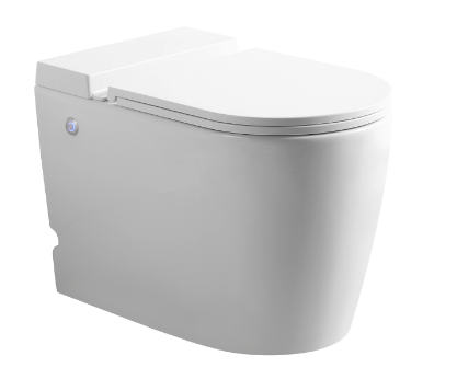 Ceramic Toilet
