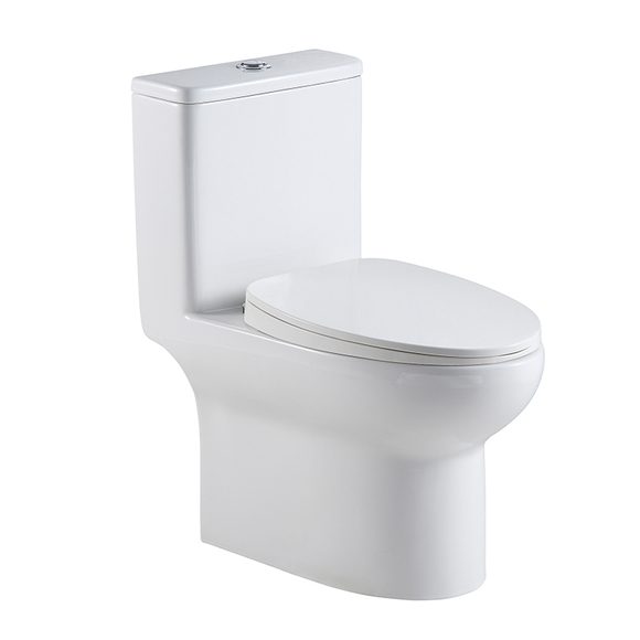 Ceramic Toilet