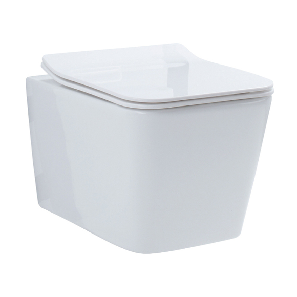 Ceramic Toilet