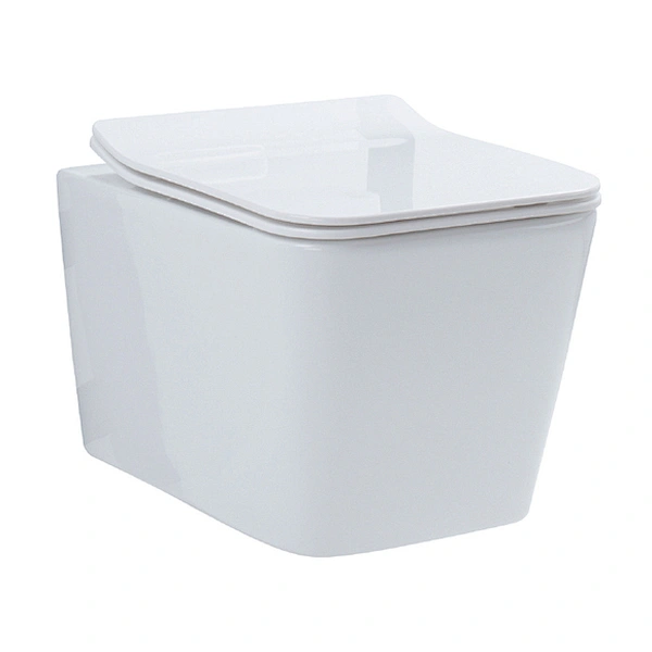 Ceramic Toilet