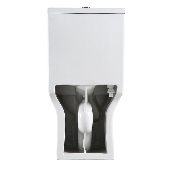 Ceramic Toilet