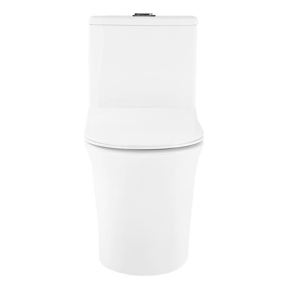 Ceramic Toilet