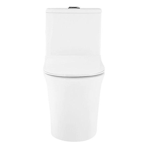 Ceramic Toilet
