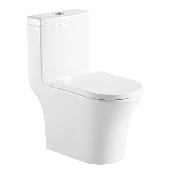 Ceramic Toilet