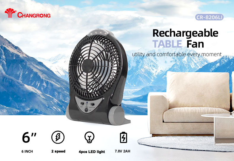 Rechargeable fan with led lights