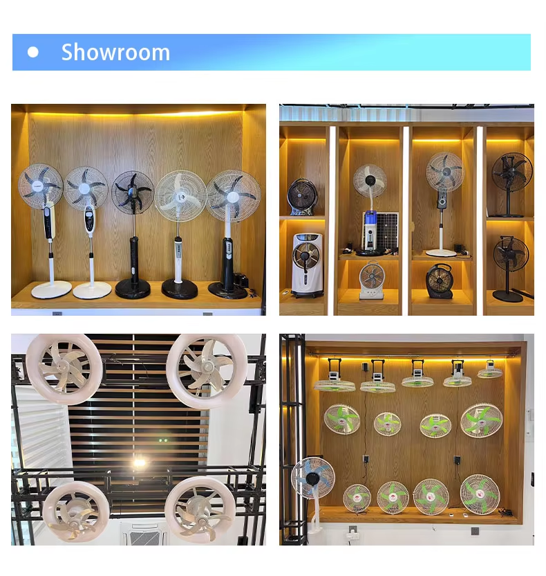 ac dc ceiling fan Showroom