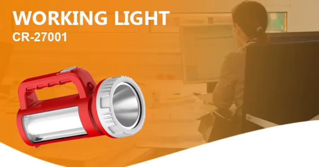 Rechargeable torch