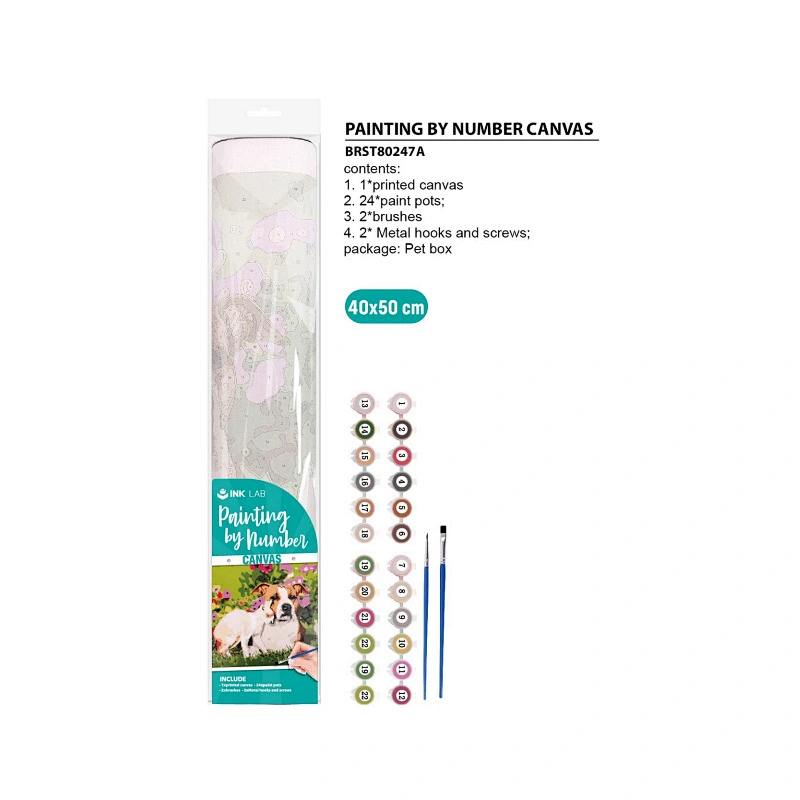 Kits de pintura de diamantes de bricolaje con lienzo enmarcado