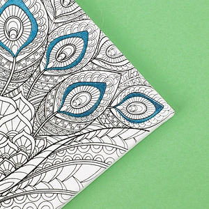 Pre Drawn Stretched Canvas for Painting, Peacock Theme