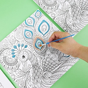 Pre Drawn Stretched Canvas for Painting, Peacock Theme